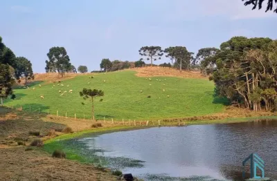 Sítio/chácara a venda com 33 hectares bem localizado no interior de são joaquim - sc