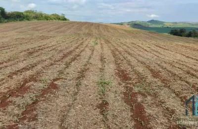 Fazenda com 57 alqueires (plantando 46) solo roxo alta fertilidade, engenheiro beltrão pr