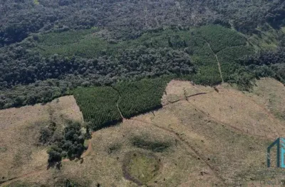 Terreno localização privilegiada, próxima à cidade e com potencial general carneiro pr