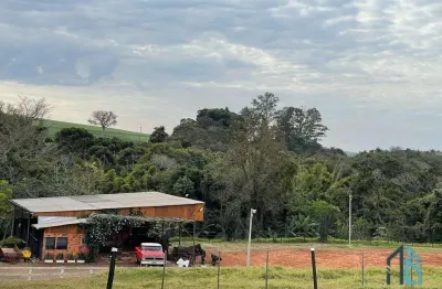 Chácara, haras alto padrão, para pessoas exigentes, mansão padrão, casa em cambé rolândia pr