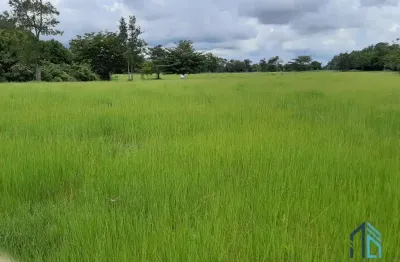 Fazenda linda 39 alqueires, com casa peão e casa sede, município de mossamedes go