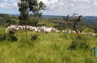 Fazenda em  abadiânia, muita água (permuta total se for em goiânia) goiania - go