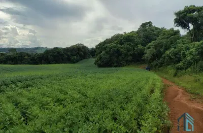 Terreno com 9,2 alqueires, área verde ideal para plantio ou construção, em campo largo pr