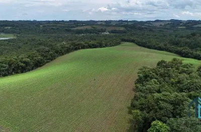 Terreno à venda na Br 423, Barreiro, Campo Largo
