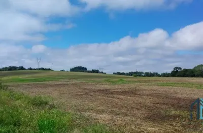 Chácara / sítio com 4 quartos à venda no Faxinal dos Ribeiros, Pinhão 