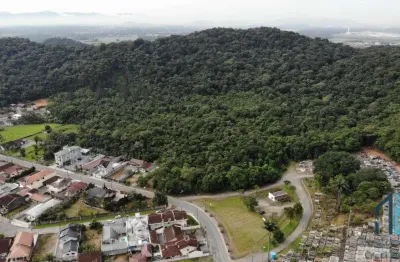 Terreno em pirabeiraba joinville, com 101.000 m2 e estudo para condomínio residencial com 25 lotes.