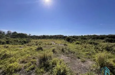 Terreno Comercial/Industrial, para Grande Empreendimentos, frente BR-101 em Laguna - SC
