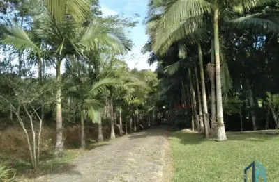 Chácara 12.650 mil m², com pomar, lagoa com peixes no bairro paciência em itajaí sc