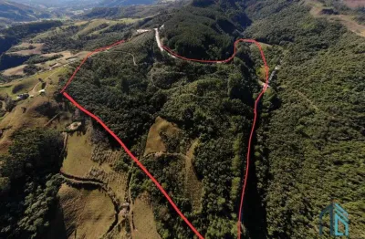 Terreno com 210.942,00m2, ideal para construção, são leonardo, município de alfredo wagner -sc