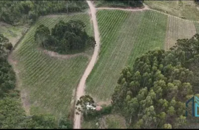 - fazenda, vinícola, sítio, a venda, próximo ao centro de são joaquim sc