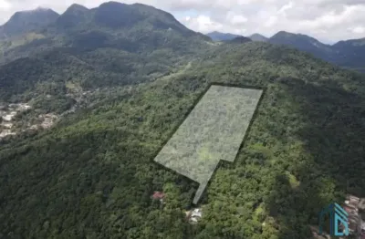 Terreno 55 mil m², no morro dos médicos área nobre de jaraguá do sul - sc