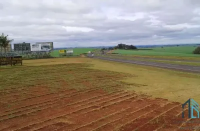Terreno 92mil m², entre a cidade de rolândia e arapongas, rodovia 986 km 8 contorno sul de rolândia pr