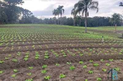 Terreno limpo plano 21.000 mil m², a venda no umbará em curitiba - pr