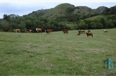 Fazenda 804 hectares a venda, oportunidade de negócio, santana do boa vista - caçapava do sul - rs