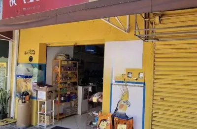 Ponto comercial a venda pet shop no bacacheri em curitiba - pr