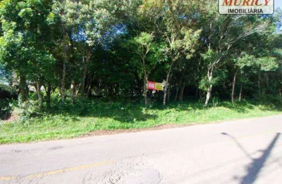 Terreno à venda, 824 m² por r$ 820.000,00 - aristocrata - são josé dos pinhais/pr