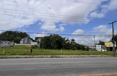 Terreno no anita garibaldi com 0 quartos para venda, 2992 m²