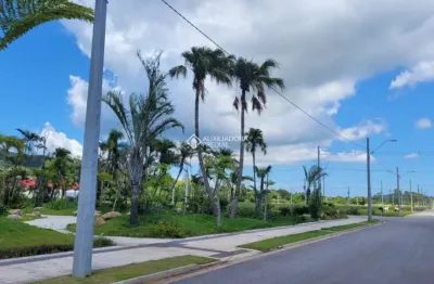 Terreno em condomínio fechado à venda na estrada dom joão becker, 2201, ingleses do rio vermelho, florianópolis, 450 m2 por r$ 730.000