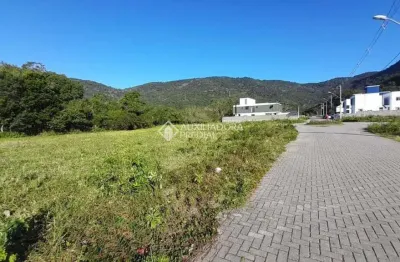 Terreno à venda na rodovia baldicero filomeno, ribeirão da ilha, florianópolis, 454 m2 por r$ 640.000