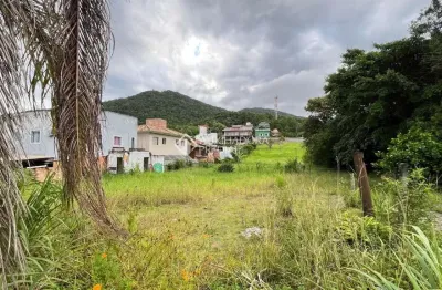 Terreno à venda na rodovia doutor antônio luiz moura gonzaga, 74, rio tavares, florianópolis, 1010100 m2 por r$ 3.900.000