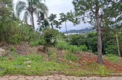 Terreno à venda na rodovia baldicero filomeno, 4301, ribeirão da ilha, florianópolis, 444 m2 por r$ 400.000