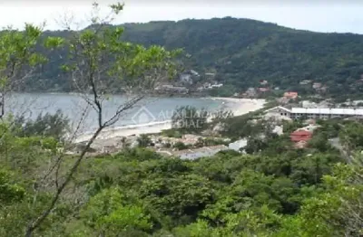 Terreno à venda na estrada jornalista jaime de arruda ramos, 2128, ponta das canas, florianópolis, 500 m2 por r$ 1.100.000