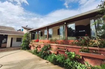 Casa com 8 quartos para alugar na Santa Amélia, Belo Horizonte 