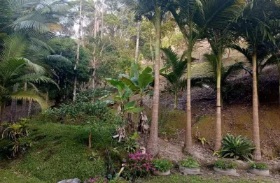 Terreno à venda, 319000 m² por r$ 480.000,00 - progresso - blumenau/sc