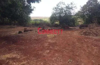Terreno à venda, 440 m² por r$ 170.000,00 - jardim itaú - ribeirão preto/sp