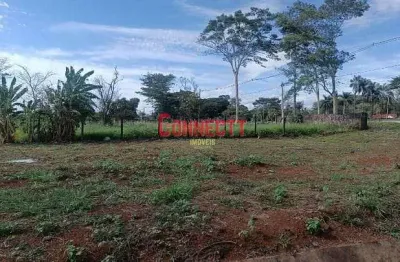 Terreno à venda na Vila Amélia, Ribeirão Preto 