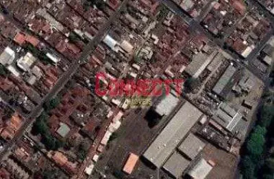 Barracão à venda, 531 m² por r$ 1.800.000,00 - vila albertina - ribeirão preto/sp
