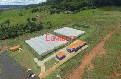 Fazenda à venda, 135000 m² por r$ 2.820.000,00 - zona rural - ribeirão preto/sp