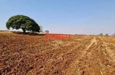Sítio com 1 dormitório à venda, 78704 m² por r$ 6.785.000,00 - zona rural - brodowski/sp