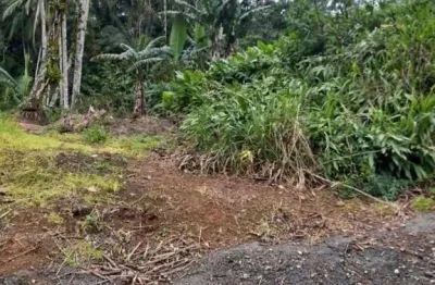 Chácara para venda em guaramirim / sc no bairro amizade