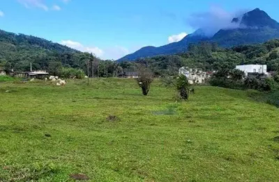 Terreno para venda em guaramirim / sc no bairro ilha da figueira