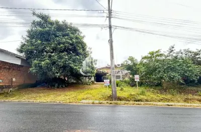 Terreno à venda na José Rover, Corticeira, Guaramirim