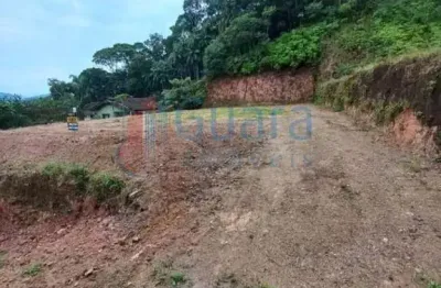 Terreno para venda em guaramirim / sc no bairro ilha da figueira