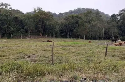 Terreno à venda na Caixa D'Água, Guaramirim 