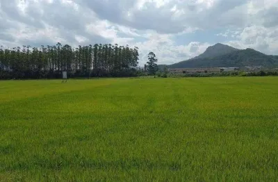Terreno à venda na Escolinha, Guaramirim 
