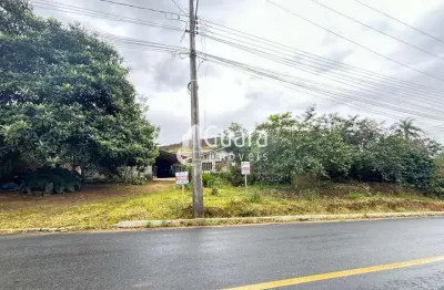 Terreno à venda na Corticeira, Guaramirim 