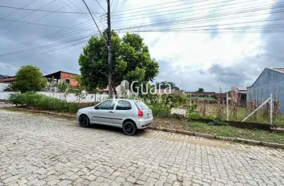 Terreno à venda na José Eugenio Buzzi, sn, Caixa D'Água, Guaramirim