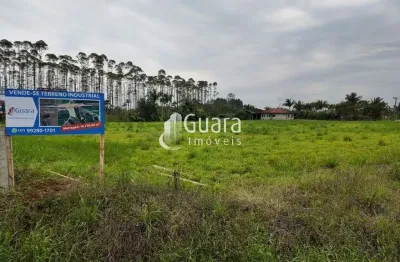 Terreno à venda na Br 280, Km 180, Zona Rural, Guaramirim