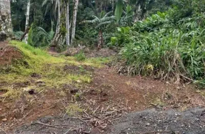 Casa com 1 quarto à venda na Lado Impar Da João Sotter Correa, sn, Amizade, Guaramirim