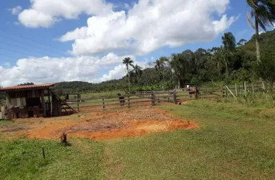Casa com 2 quartos à venda na Caixa D'Água, Guaramirim 