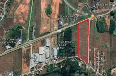 Terreno para venda em guaramirim / sc no bairro escolinha