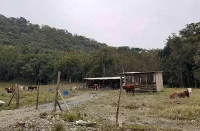Terreno para venda em guaramirim / sc no bairro caixa d água