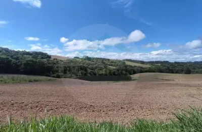 Chácara / sítio à venda na Rua Travessa De Amorin, Campestrinho, Mandirituba
