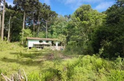 Chácara / sítio à venda na Estrada Dos Pereiras, Colônia Retiro, Mandirituba