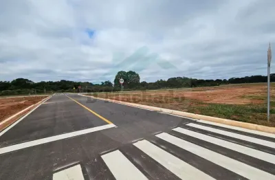 Terreno para venda em fazenda rio grande, gralha azul