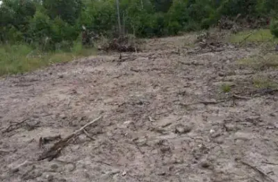 Terreno para alugar, 550 m² por r$ 500,01/mês - aberta dos morros - porto alegre/rs